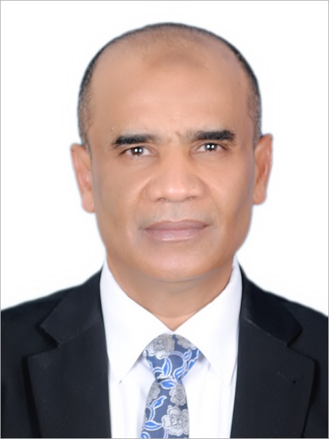 Mohamed Sewalim El-sayed Hamed